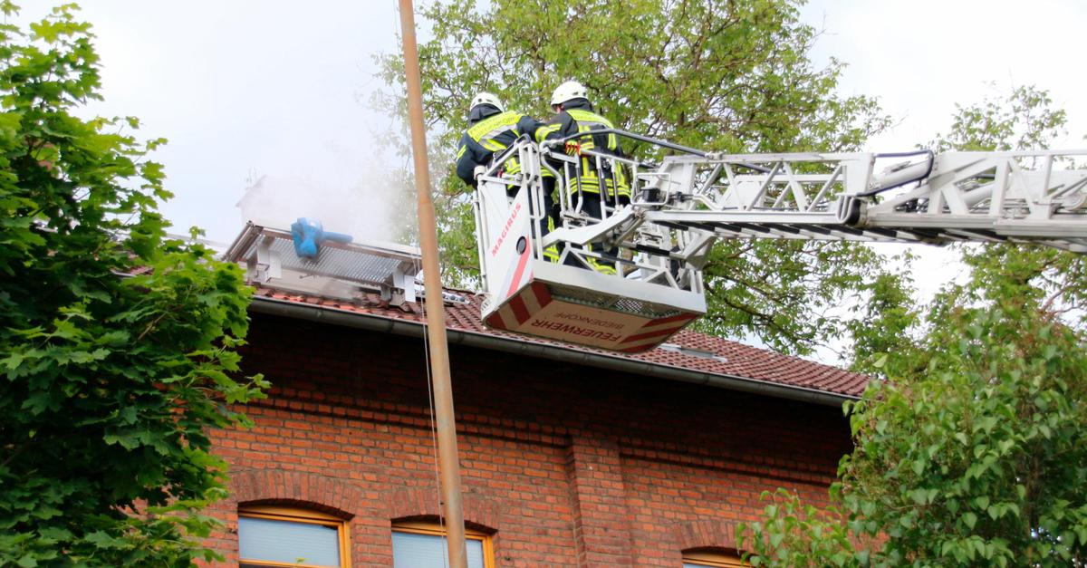 Feuerwehr Rettet Neun Personen Und Einen Hund