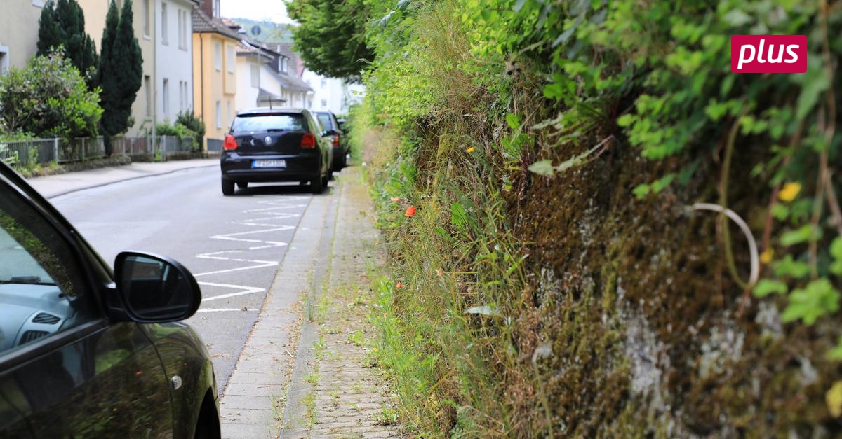 Erste Fahrradstra E In Wetzlar Verz Gert Sich Weiter