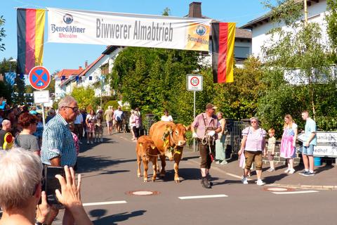 "Biwwerer Almabtrieb": Der Zug passiert die Friedrich-Löll-Straße kurz vorm Festplatz am Bieberer Bürgerhaus. Klaus Waldschmidt