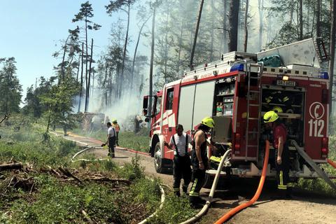 Bereits im Sommer 2019 brannte der Wald in Münster – dieses Mal auf dem Gelände der Muna.  Archivfoto: Feuerwehr Groß-Zimmern
