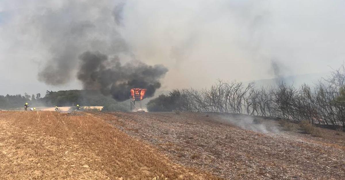 3,000 square meters of field and forest burn near Waldsolms