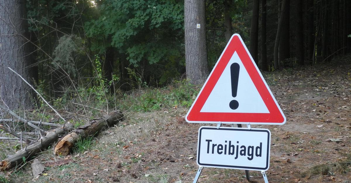 Hessen: Hat Vize des Landesjagdverbandes in Vereinskasse gegriffen?