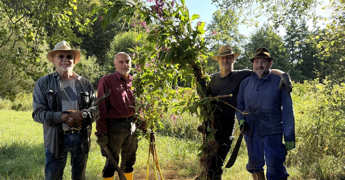 Braunfels conservationists combat invasive plant species
