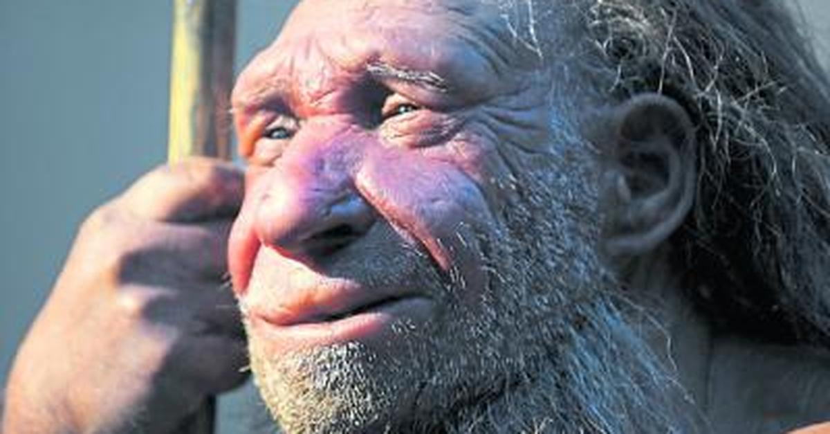 Moment mal: Einmal Neandertaler sein