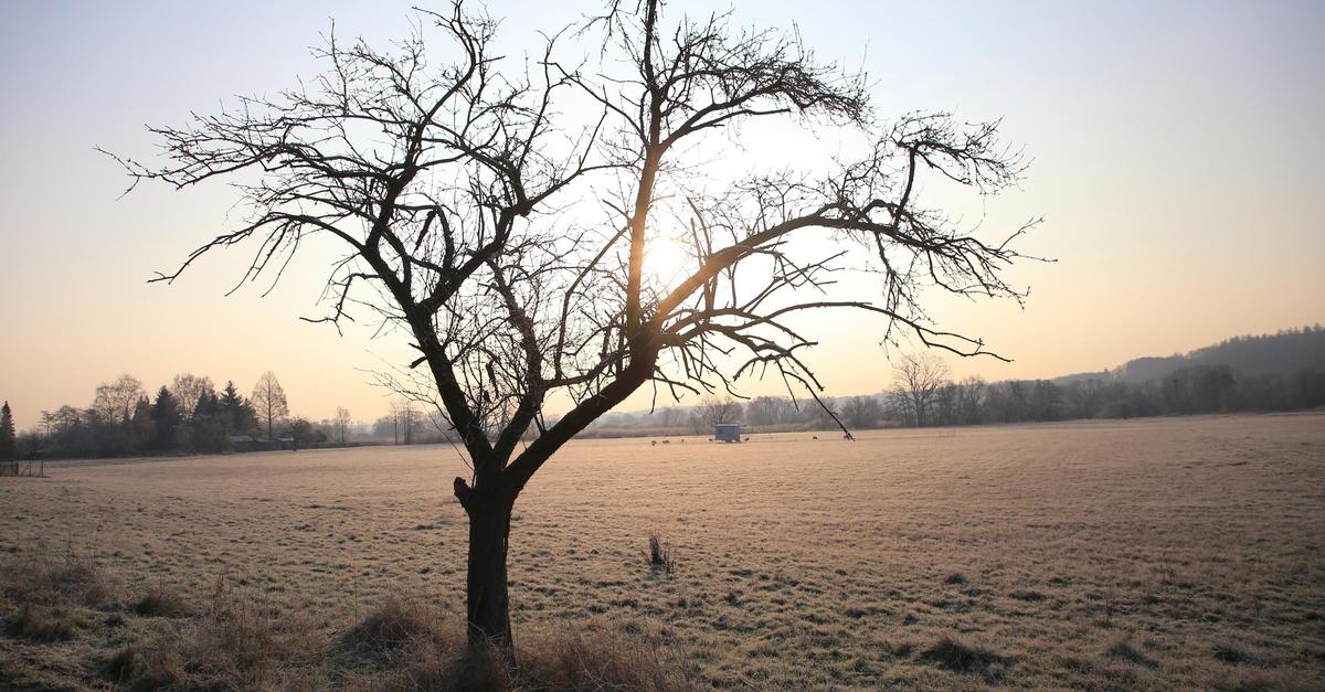Naturbegeisterte-Menschen-aus-Mittelhessen-schmieden-Pl-ne