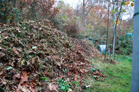 Vermischt mit dem letzten Rasenschnitt ist das Laub im Garten ein ideales Material für den Komposthaufen.