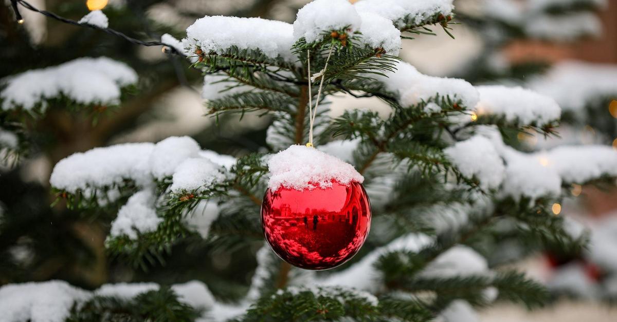 Indoor-Aktivit-ten-in-Mittelhessen-15-tolle-Ausflugsziele