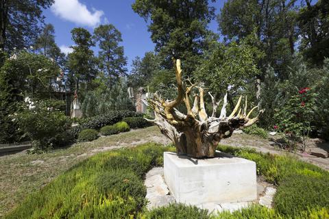 Sinnbildhaft thront diese Wurzel als Verbindung zwischen Kunst und Natur im Skulpturengarten auf der Ludwigshöhe. Foto: Guido Schiek