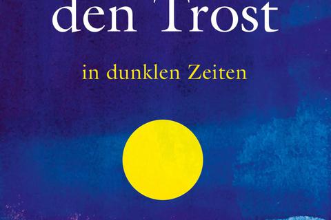 Michael Ignatieff Über den Trost in dunklen ZeitenUllstein, Berlin, 352 S., 24 Euro. 