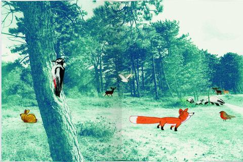 Lust auf Abenteuer im Wald: „Der kleine Fuchs“ heißt das Bilderbuch aus dem Gerstenberg-Verlag, zu dem Marije Tolman die zauberhaften Illustrationen geschaffen hat. Foto: Marije Tolman / Gerstenberg-Verlag