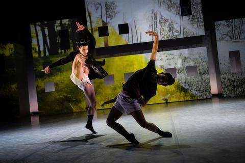 Die Welt färbt sich gelb, als sich die Tänzer Alberto Terribile und Lorenzo Angelini näher kommen. Szenen aus „Colours of Beauty“. Foto: Christian Kleiner