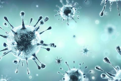 Coronaviren sind seit über 50 Jahren bekannt, jetzt gibt es eine neuartige Variante. Foto: Romolo Tavani - stock.adobe