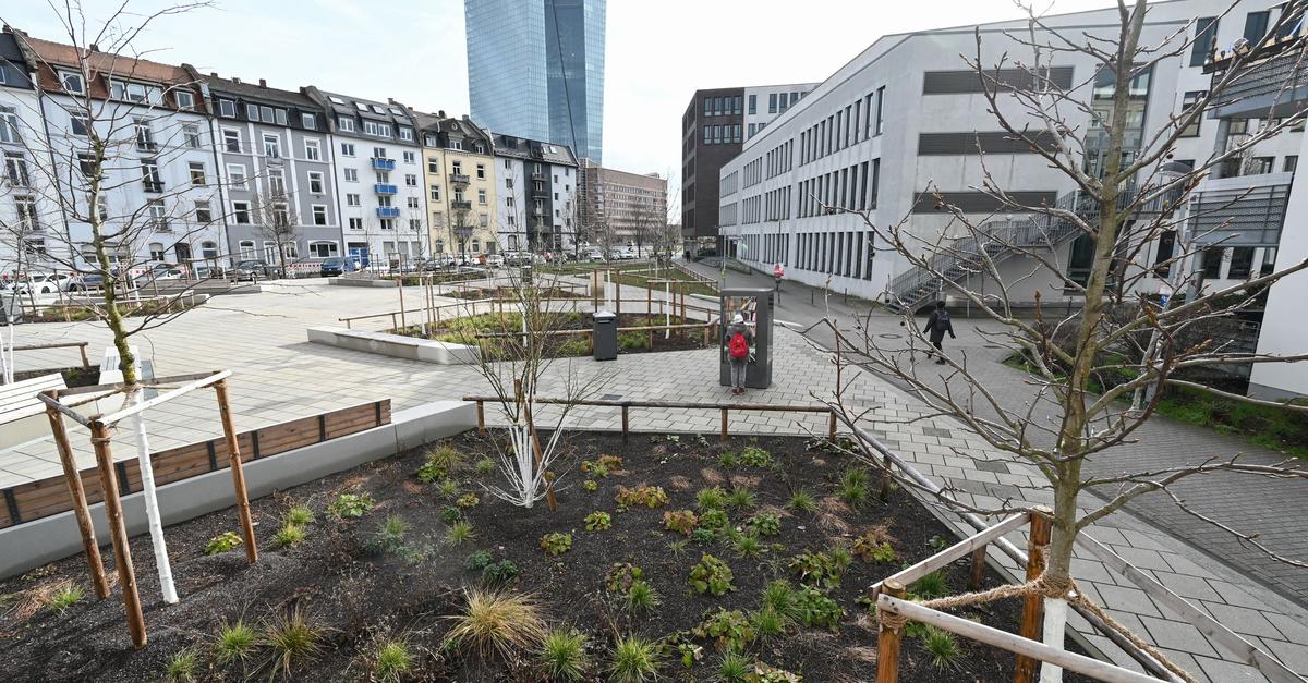 St-dte-k-mpfen-mit-Ma-nahmenpaketen-gegen-Klimawandel