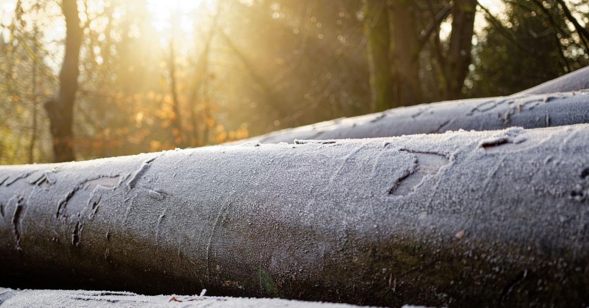 Sonnige-Tage-und-frostige-N-chte-in-Hessen
