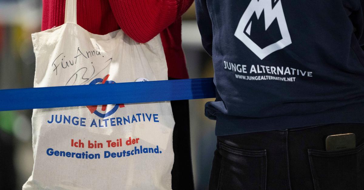 AfD-gr-ndet-neue-Parteijugend-was-steckt-dahinter-