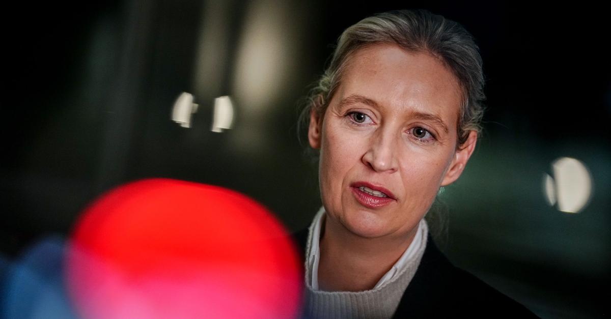 Neue-AfD-Jugend-Kaderschmiede-f-r-Regierungsverantwortung-