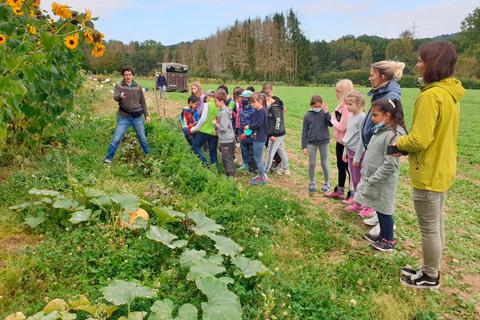 Die Erntezeit beginnt: Die Usinger Rotarier unterstützen ein Schulacker-Projekt der Astrid-Lindgren-Schule. Foto: Westebbe 