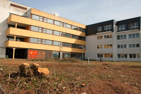 Termingerecht wurden Bäume und Sträucher auf dem Areal des ehemaligen Krankenhauses in der Hattsteiner Allee und Fritz-Born-Straße gefällt und gerodet. Foto: Hammerschmied 