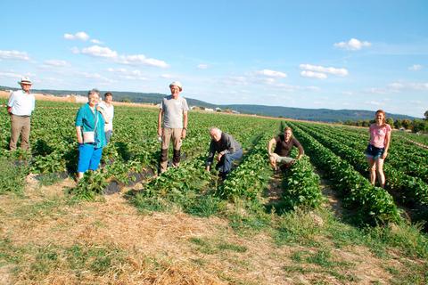Mit dem Erdbeerbauern Maximilian Reuhl (4. von links) trafen sich Mitglieder des BUND Wehrheim, um Fragen zum Anbau zu stellen. Foto: Christina Jung 