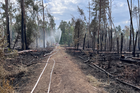 Deutlich sichtbar wird am Montag, wie viel Wald durch den Brand zerstört wurde. Die Löscharbeiten laufen unterdessen weiter. Foto: Christina Kolb
