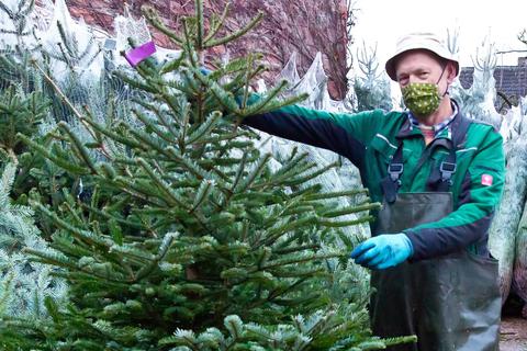 Georg Lutz hat die Weihnachtsbäume, die er verkauft, selbst gepflanzt, gepflegt und geschlagen. Foto: Ulrike Bernauer