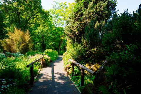 Grün, grün, grün: Der Botanische Garten der JLU kann ab Freitag wieder bestaunt werden - allerdings nur von 100 Besuchern gleichzeitig.  Foto. JLU/Friese 