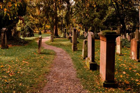 Oase der Ruhe und Entspannung: Der Alte Friedhof lädt zum Spazierengehen ein. Einige Menschen fühlen sich jedoch unsicher auf den Wegen und meiden die Parkanlage. Foto: Friese 