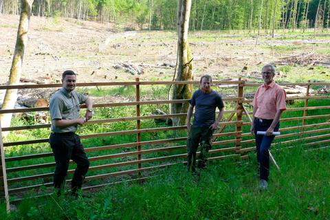 Hannes Wollmerstädt, Rico Wolf und Frank Ide vor einer  Wiederaufforstungsfläche im Grünberger Stadtwald. Foto: Schuette 