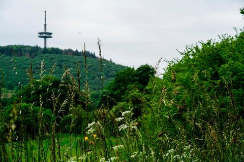 Schöne An- und Einsichten sind bei der Wanderung rund um Frankenbach zu entdecken. Fotos: Friese/Zeichnung: Eikenroth 