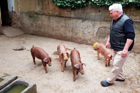 Eigene Schweinehaltung gibt es immer noch "beim Philipp". Foto: Wißner 