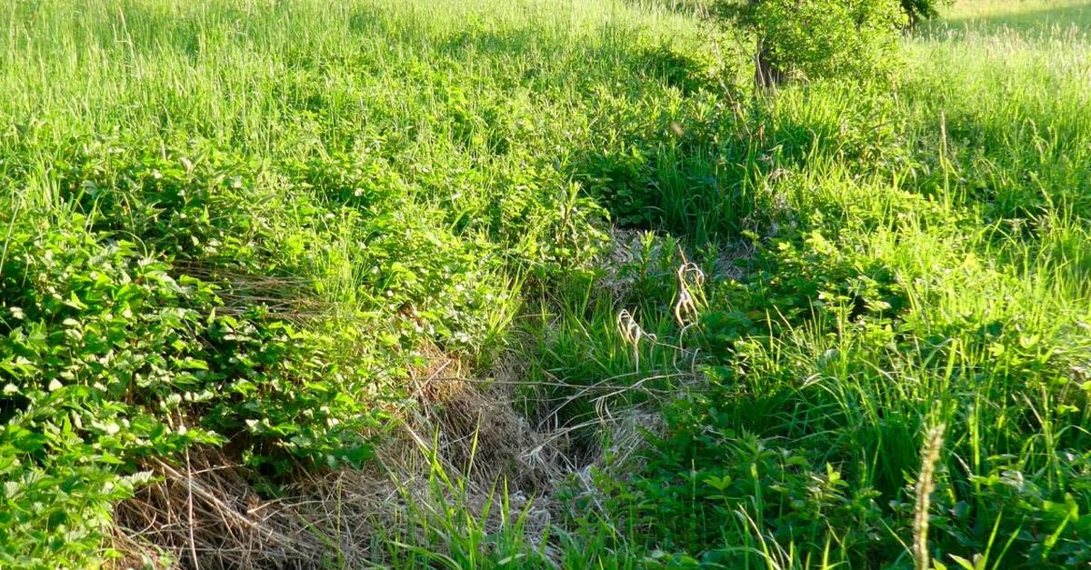 Scharfe Kritik an geplanter Bachverrohrung in Odenhausen