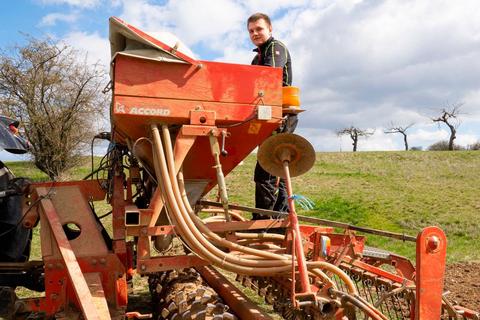 Blühende Wiesen in DorfGüll Mittelhessen