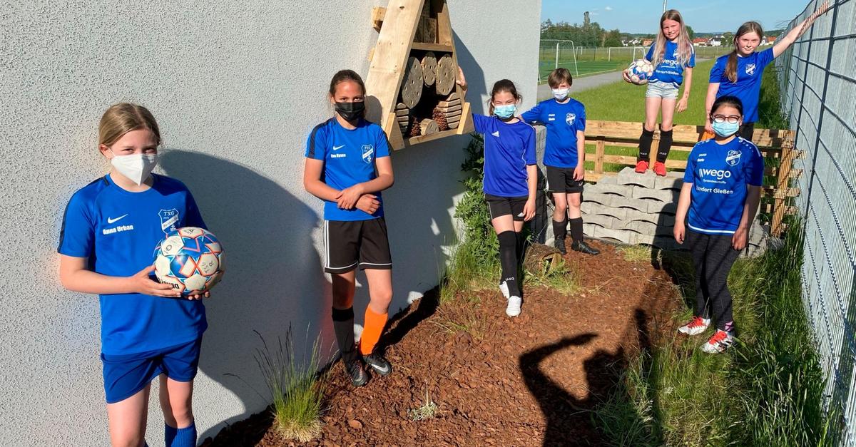 neue-insektenhotels-mittelhessen