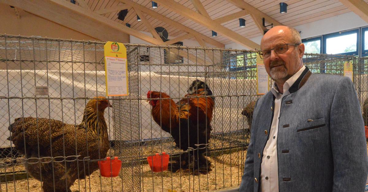 Beselich: Wertvolle Hühner und Tauben bewundern