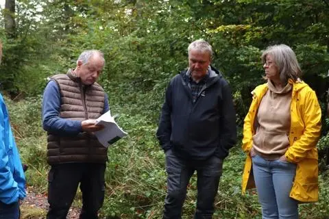 Noch Hoffnung für den Beselicher Wald