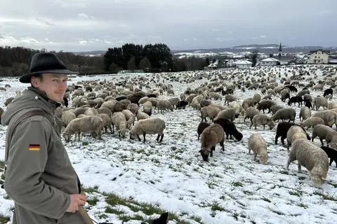 Westerwld Rundlet Wetterwechsel und Wolfgefahr: Hirtenleben im Westerwald