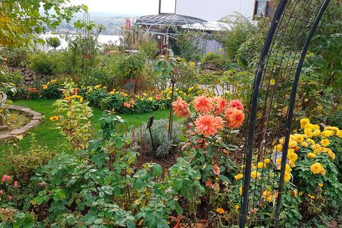 Eine Augenweide sind jedes Jahr die Rosengärten in Hadamar. Viele Gäste ziehen die üpigen Anlagen für einen Kurztrip an. Aber schon im nächsten Jahr kann demverein die Luft ausgehen. © Anken Bohnhorst