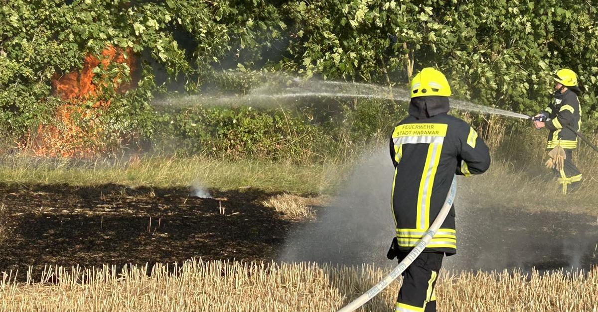 Hadamar-Gro-einsatz-wegen-Wald-und-Fl-chenbrand