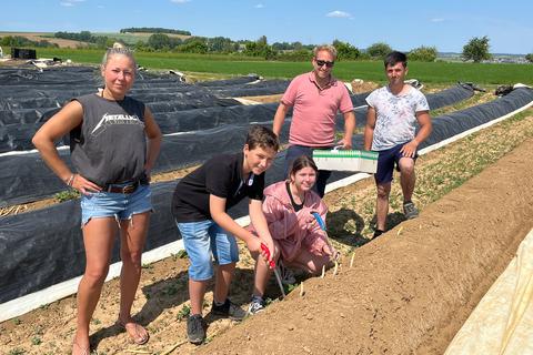 Unter Anleitung von Erntehelfer David (rechts) hatten sich auch (von links) Anna Margarete, Noah-Aurelius, Aura-Sophia und Marc Bredhauer zum Spargelernten aufs Feld begeben.