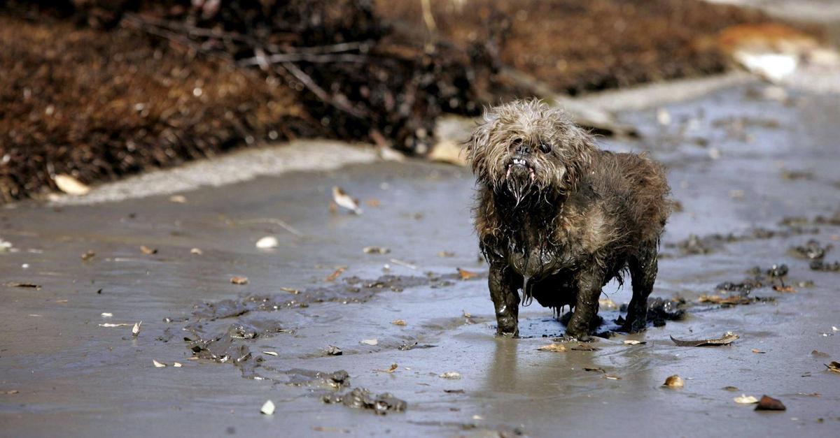 moment-mal-happy-end-im-wald