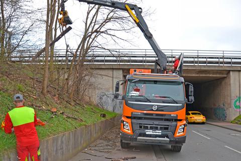 Mit einem Greifer werden die Baumstämme und Äste umgehend in einen Container geladen und anschließend schnell zur Verbrennung gebracht. Foto: Stadt Limburg 