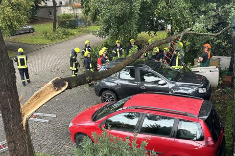 Die Einstätzkräfte waren auch am frühen Morgen, wie hier in Hadamar, im Einsatz und mussten sich um umgestürzte Bäume oder abgerissene Äste kümmern.