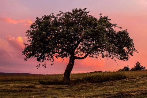 Ein traumhafter roter Sonnenuntergang wanderte gestern Abend über Waldsolms und dem Attighof Golf & Country Club hinweg. Leserfoto:Jan Karges 