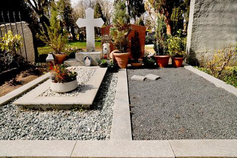 Immer mehr Rehe fühlen sich auf dem Limburger Hauptfriedhof wohl. Dort finden sie vor allem einen reichlich gedeckten Tisch. Archivfoto: Andreas Kelm 