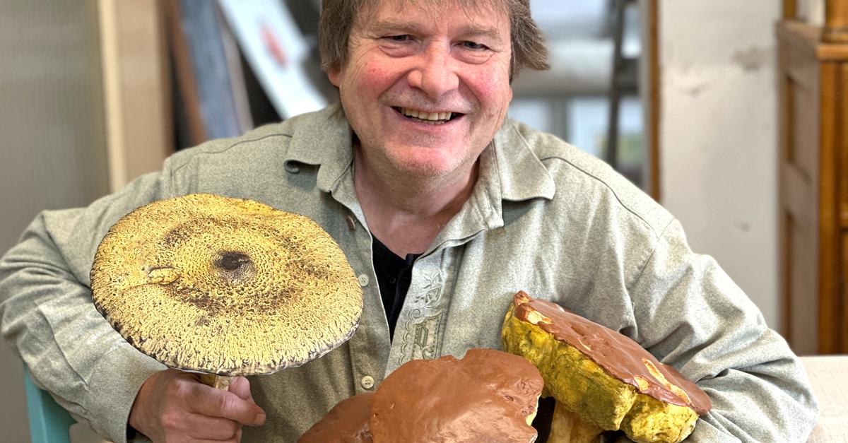 limburg-wenn-aus-gesammelten-pilzen-kunst-wird