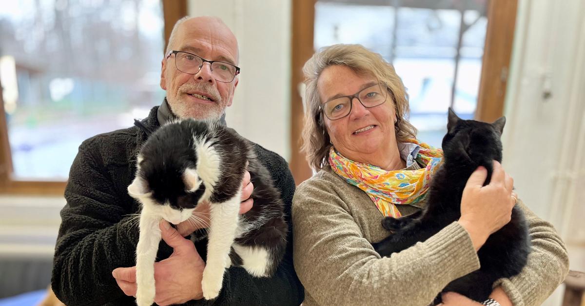 Das Tierheim in Limburg ist auf Ehrenamtliche angewiesen