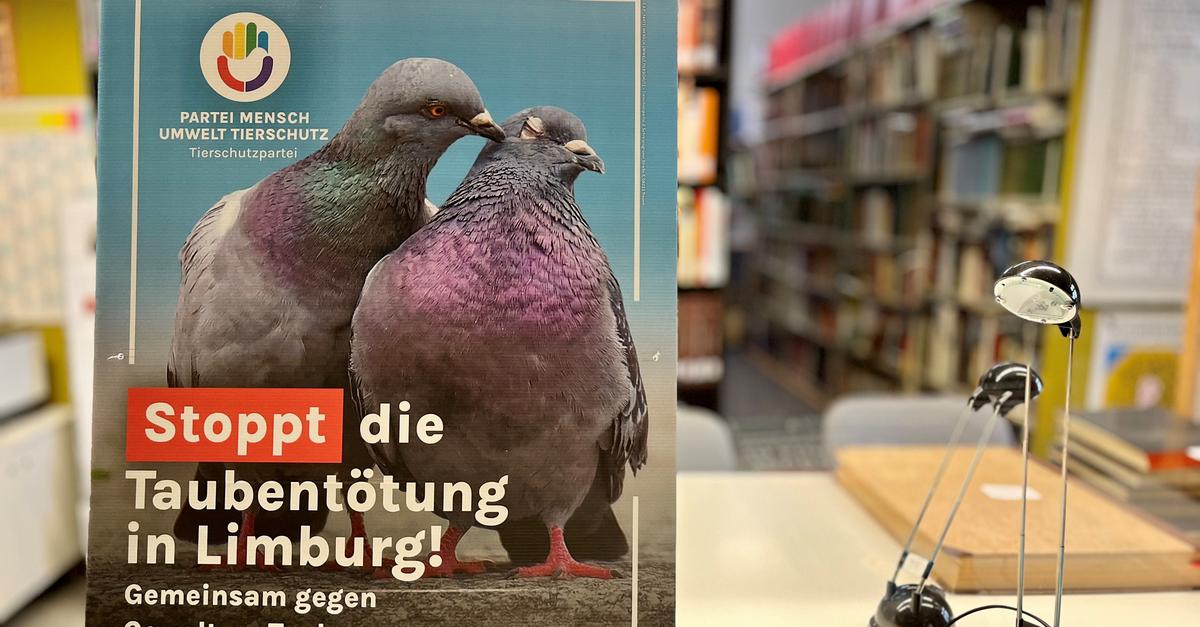 200 Tauben in Limburg wird das Genick gebrochen