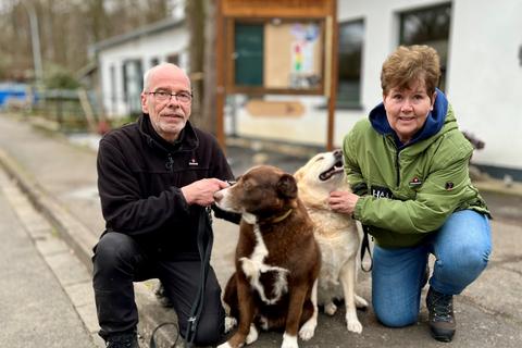 Limburger Tierheim benötigt dringend mehr Geld