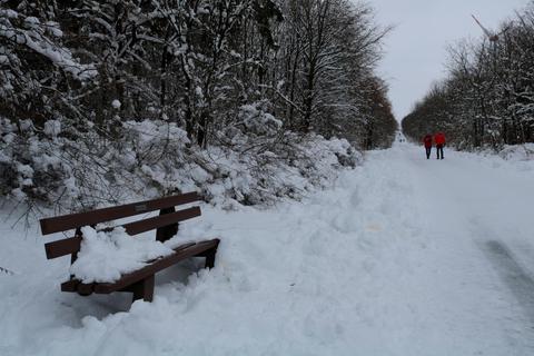 Der Schnee hat sich auf dieser Bank am Wanderweg bei Mengerskirchen wohl einen Dauersitzplatz reserviert.  Foto: Anna-Lena Fischer 