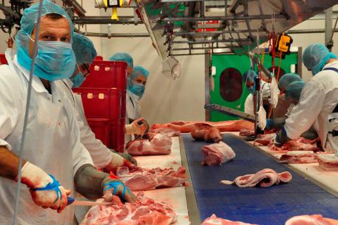 Jeder Mitarbeiter ist für ein Teilstück des Schweins verantwortlich. So werden unter anderem Schweinebauch, Spare Ribs und Schnitzel geschnitten.  Foto: Ulrike Sauer 
